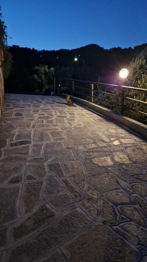 Villa Degli Ulivi Tivegna Экстерьер фото