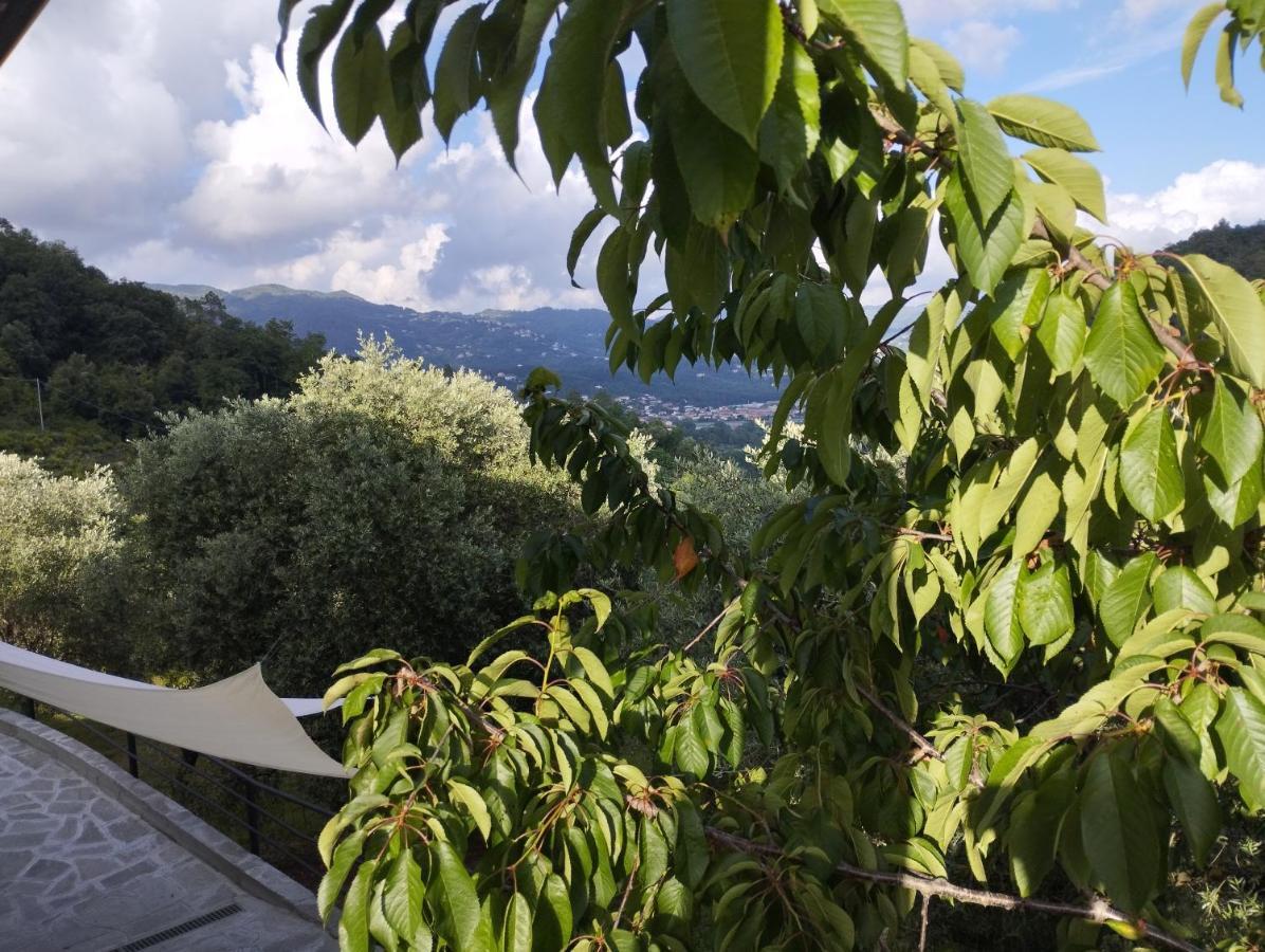 Villa Degli Ulivi Tivegna Экстерьер фото
