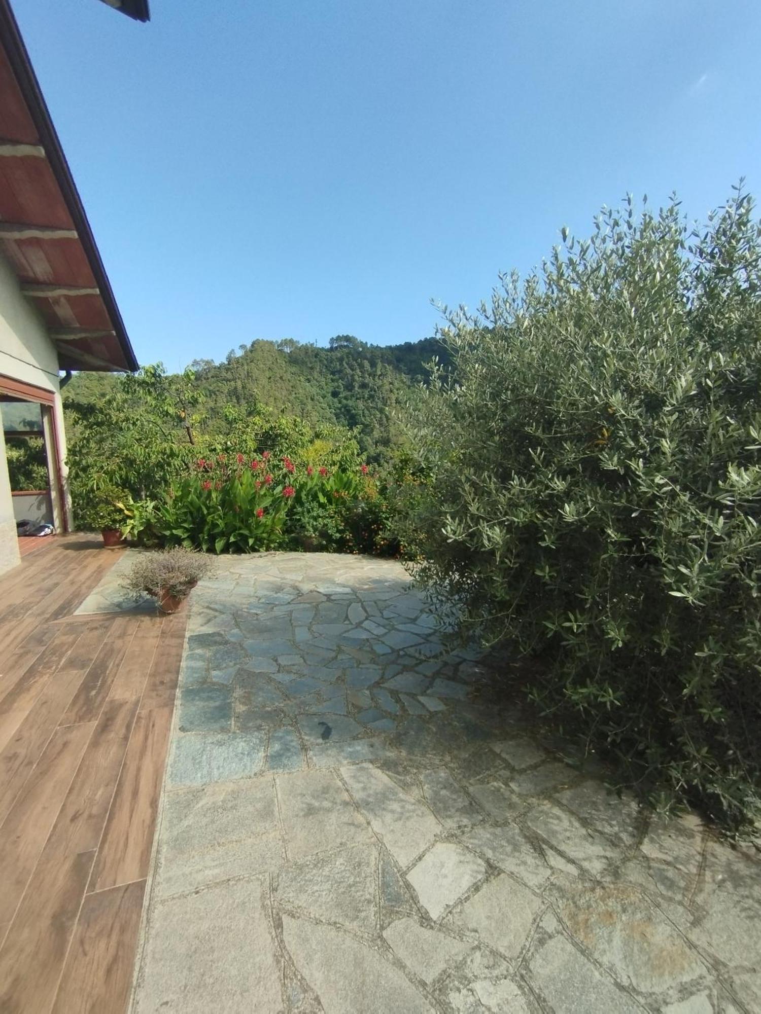 Villa Degli Ulivi Tivegna Экстерьер фото