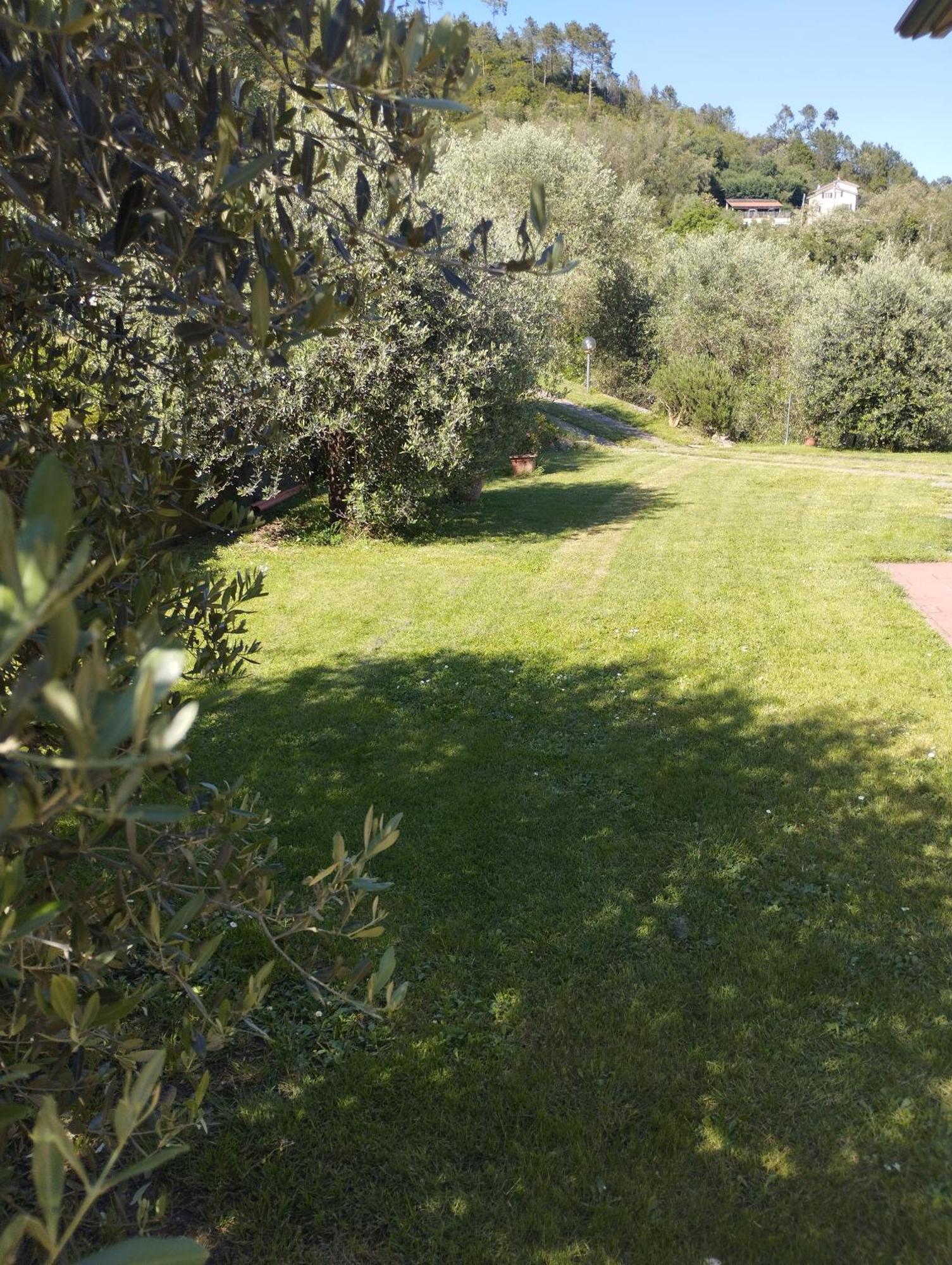 Villa Degli Ulivi Tivegna Экстерьер фото