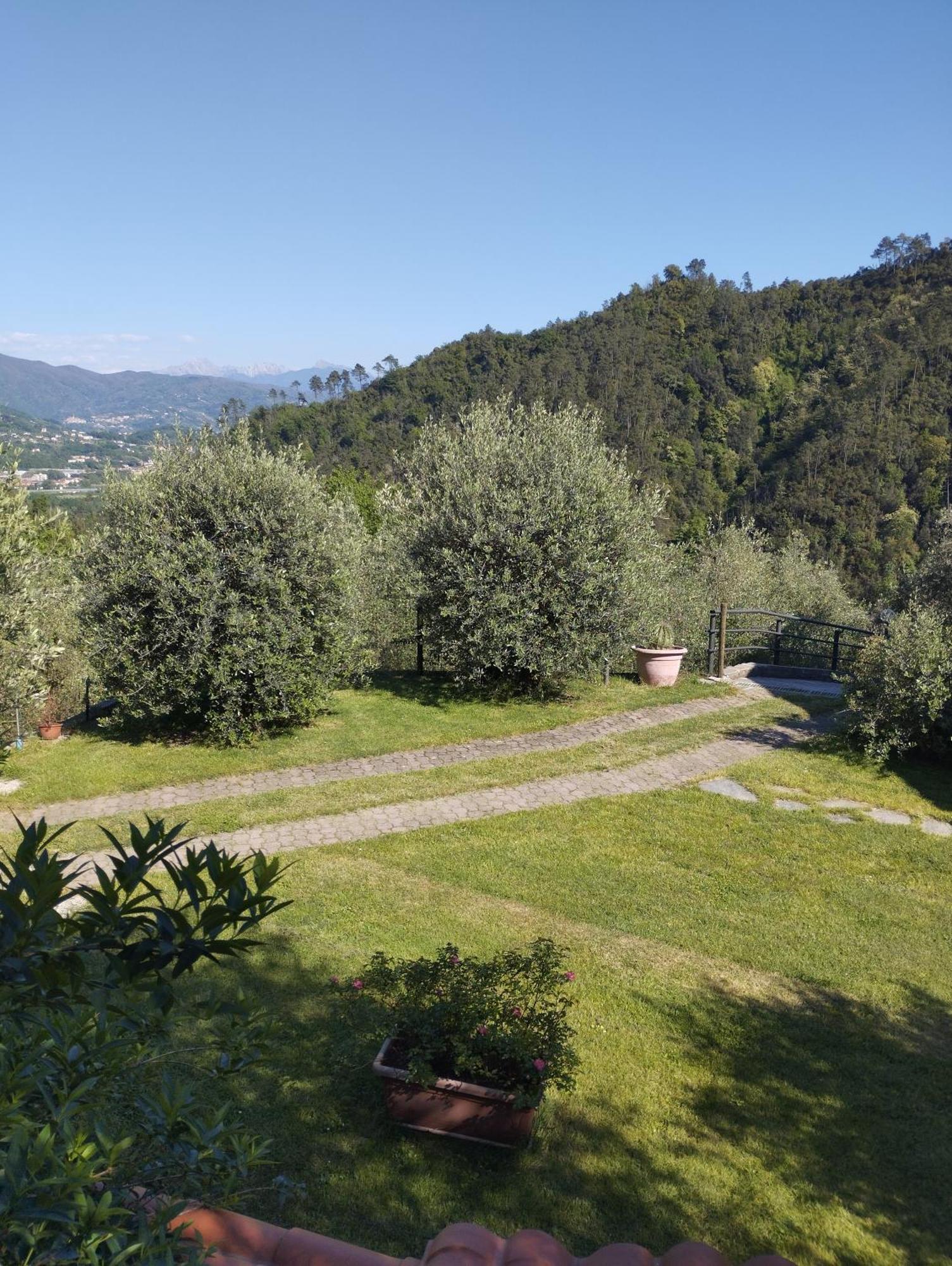 Villa Degli Ulivi Tivegna Экстерьер фото